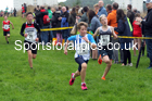 Boys and Girls under-13s, 2021 Farringdon Open Cross Country, Sunderland . Photo: David T. Hewitson/Sports for All Pics